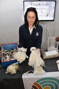 Con gran éxito, el Gobierno de Santa Cruz impulsa la segunda jornada de "Escenario Verde"