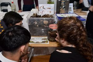 Escenario Verde fortaleció el compromiso de las nuevas generaciones con el cuidado del ambiente