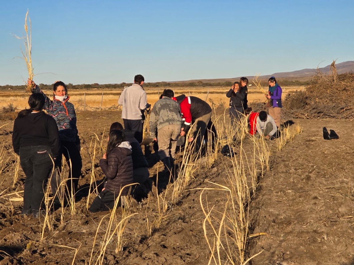 Santa Cruz asegura disponibilidad de material vegetal para la fijación de suelos