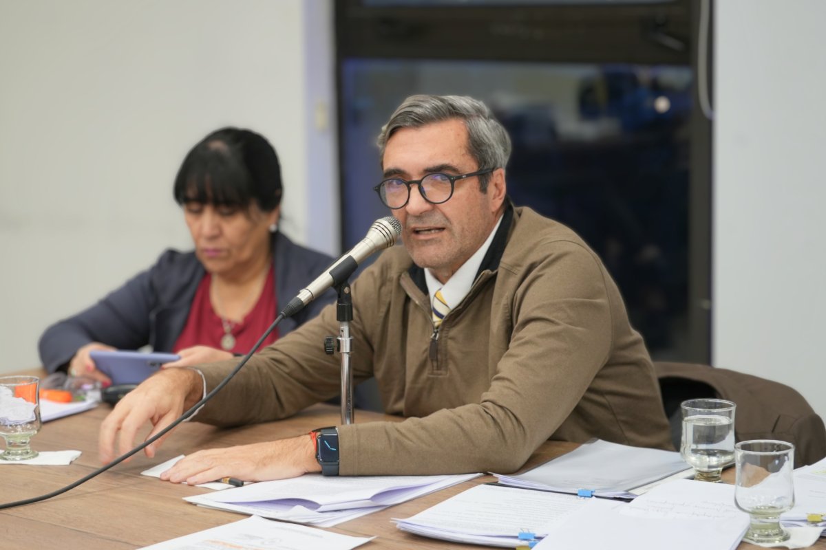 Sívori defendió la continuidad de Santa Cruz Puede S.A.U. en la Cámara de Diputados