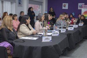 Se puso en marcha la segunda sesión del Consejo Provincial de Mujeres y Diversidades en Puerto San Julián