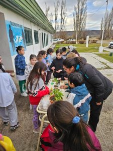 Sustentabilidad en las aulas: Estudiantes de la Escuela Hogar Nº 2 siembran conciencia y cosechan aprendizajes