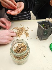 Sustentabilidad en las aulas: Estudiantes de la Escuela Hogar Nº 2 siembran conciencia y cosechan aprendizajes