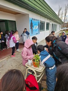 Sustentabilidad en las aulas: Estudiantes de la Escuela Hogar Nº 2 siembran conciencia y cosechan aprendizajes