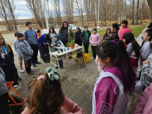 Sustentabilidad en las aulas: Estudiantes de la Escuela Hogar Nº 2 siembran conciencia y cosechan aprendizajes