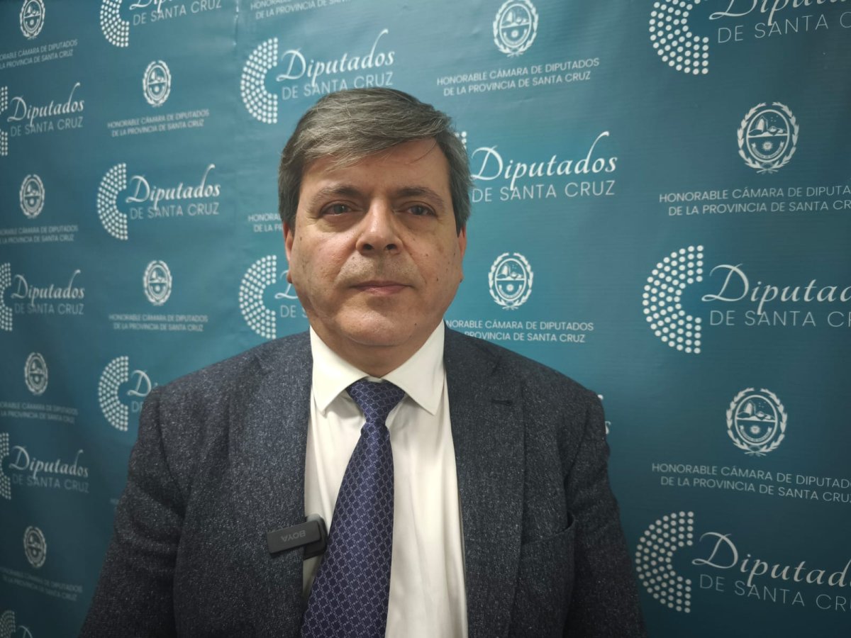 Leguizamón: “Estamos esperando el posicionamiento de los diputados y que cumplan con las expectativas del pueblo de Santa Cruz”