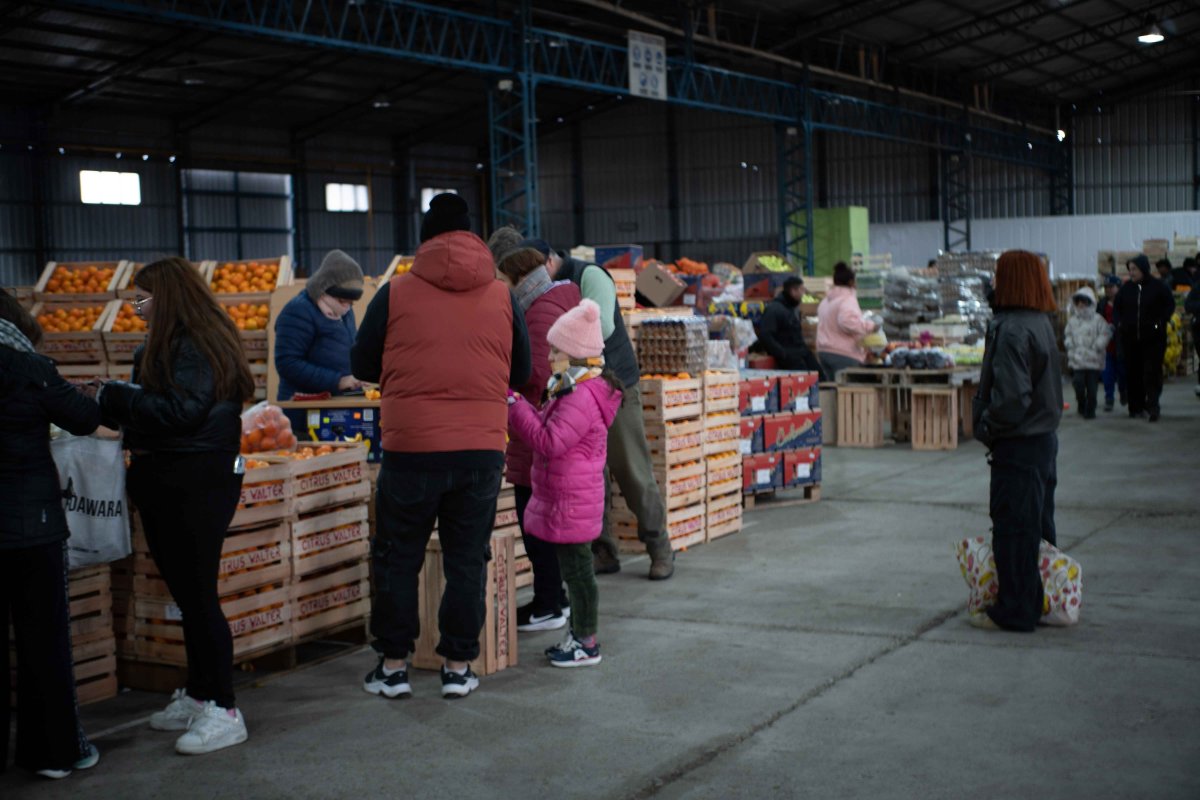 El Mercado Concentrador consolida su crecimiento y amplía su participación en Río Gallegos