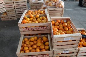 Santa Cruz reedita el Hot Sale del Mercado Concentrador Patagónico con precios promocionales para mayoristas y minoristas