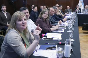 Santa Cruz fortaleció la agenda federal en el COFESA