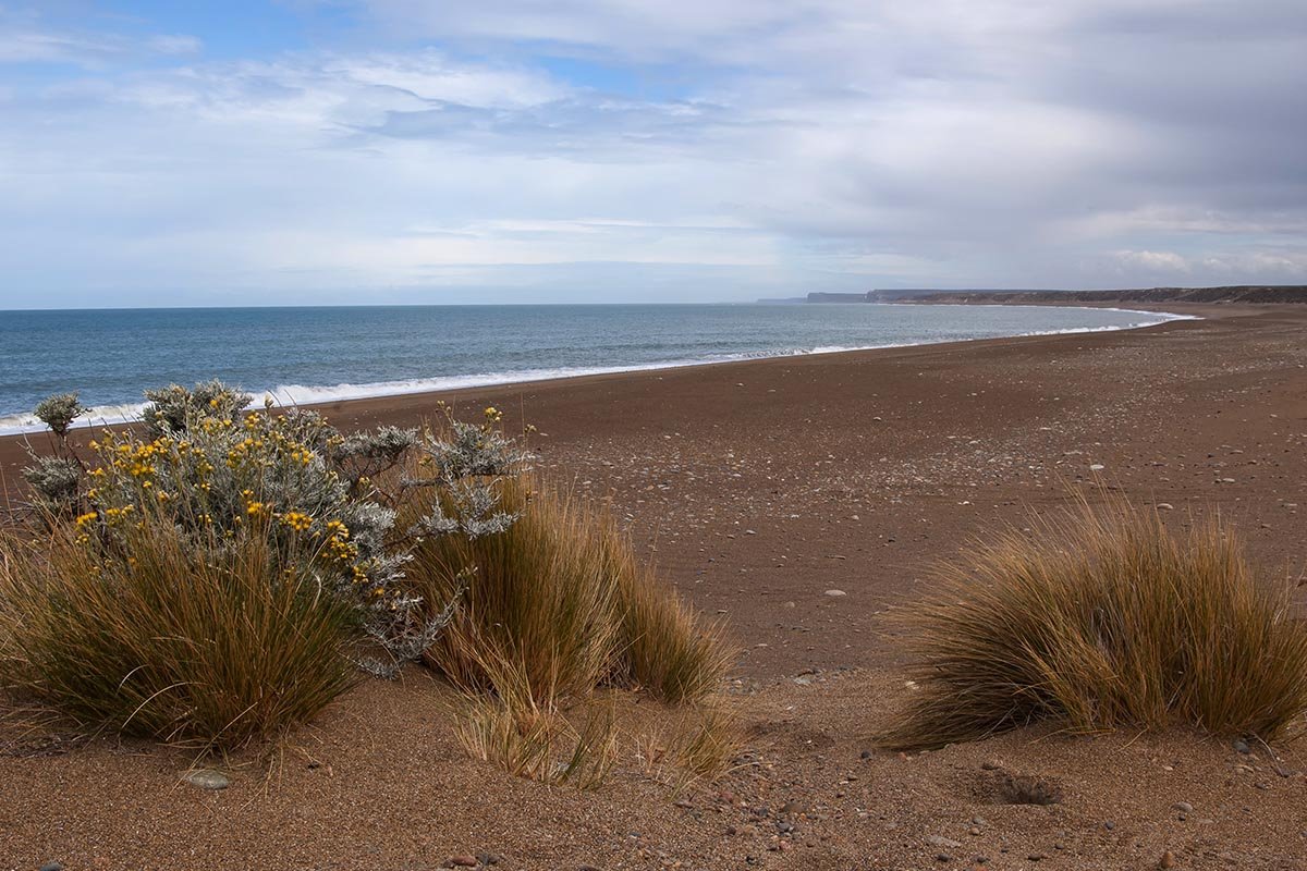 Santa Cruz fortalece la protección de sus áreas naturales con un nuevo destacamento operativo en Península de San Julián