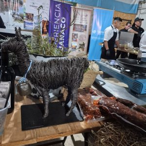 Santa Cruz vuelve a poner en valor el potencial productivo del guanaco