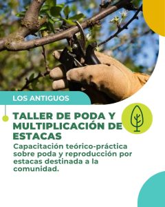 Santa Cruz impulsa una capacitación sobre poda y reproducción de estacas en Los Antiguos