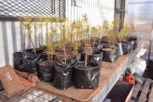 Cerró la capacitación “Compostando en Otoño” en Río Gallegos con entrega de certificaciones 