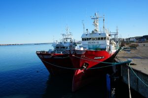 Santa Cruz fijó su posición ante la cuotificación del langostino y reclamó una cuota de 50.000 toneladas por su aporte a la conservación