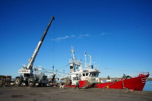 Santa Cruz fijó su posición ante la cuotificación del langostino y reclamó una cuota de 50.000 toneladas por su aporte a la conservación