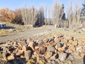 Desarrollo Social avanza con la entrega de leña en localidades del interior provincial