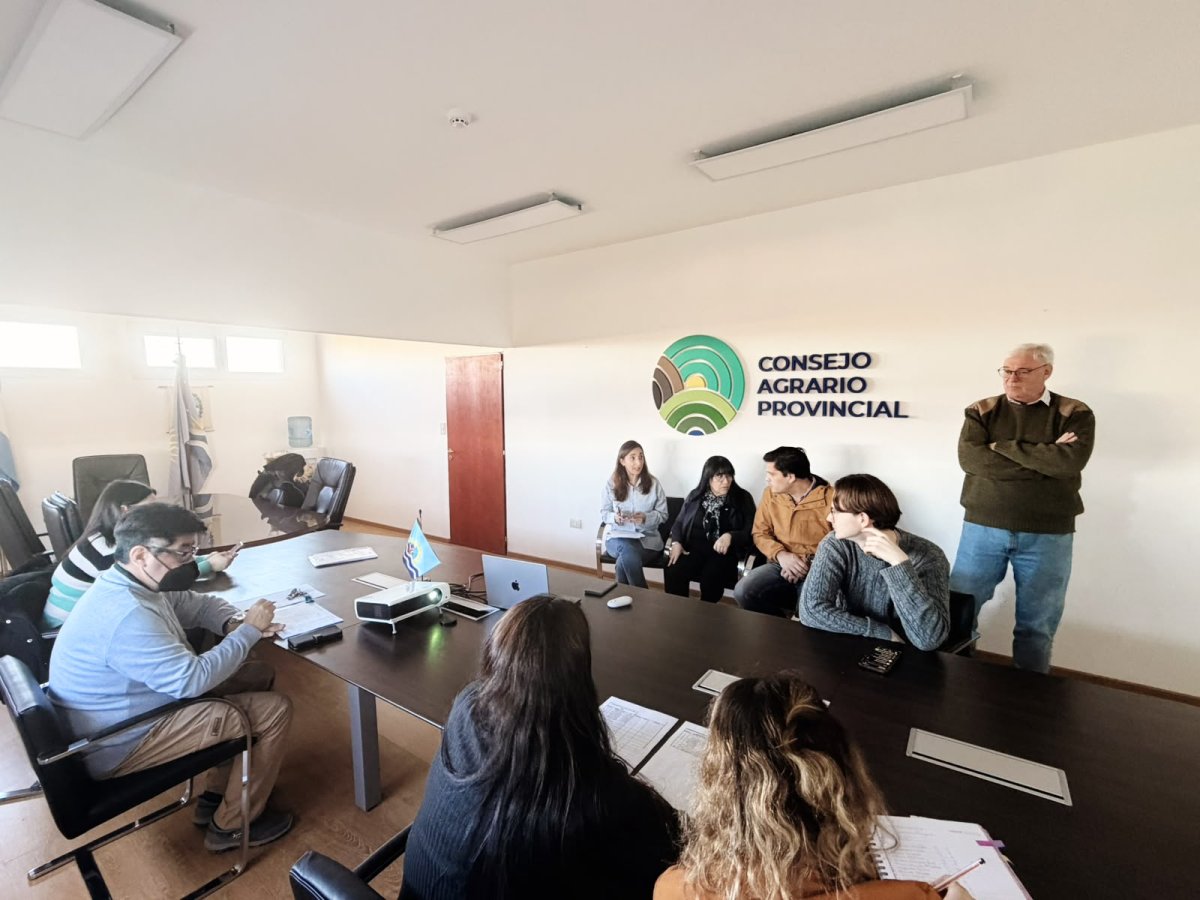 El Gobierno realizó el sorteo de lotes para las familias que recibirán sus terrenos este viernes