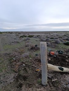 Culminaron trabajos en la Reserva Provincial Cabo Vírgenes, nuevo mirador y avanza el plan integral para potenciar la reserva natural
