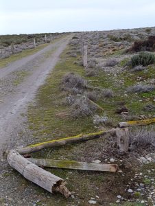 Culminaron trabajos en la Reserva Provincial Cabo Vírgenes, nuevo mirador y avanza el plan integral para potenciar la reserva natural