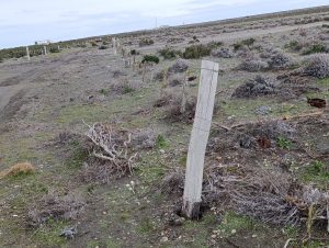 Culminaron trabajos en la Reserva Provincial Cabo Vírgenes, nuevo mirador y avanza el plan integral para potenciar la reserva natural