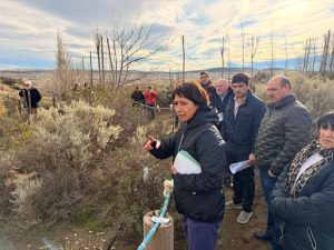 Importantes avances se registran en el proyecto vitivinícola de Caleta Olivia