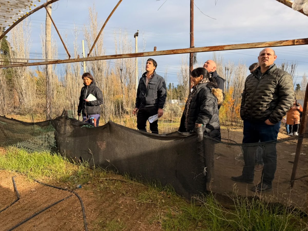 Importantes avances se registran en el proyecto vitivin&iacute;cola de Caleta Olivia