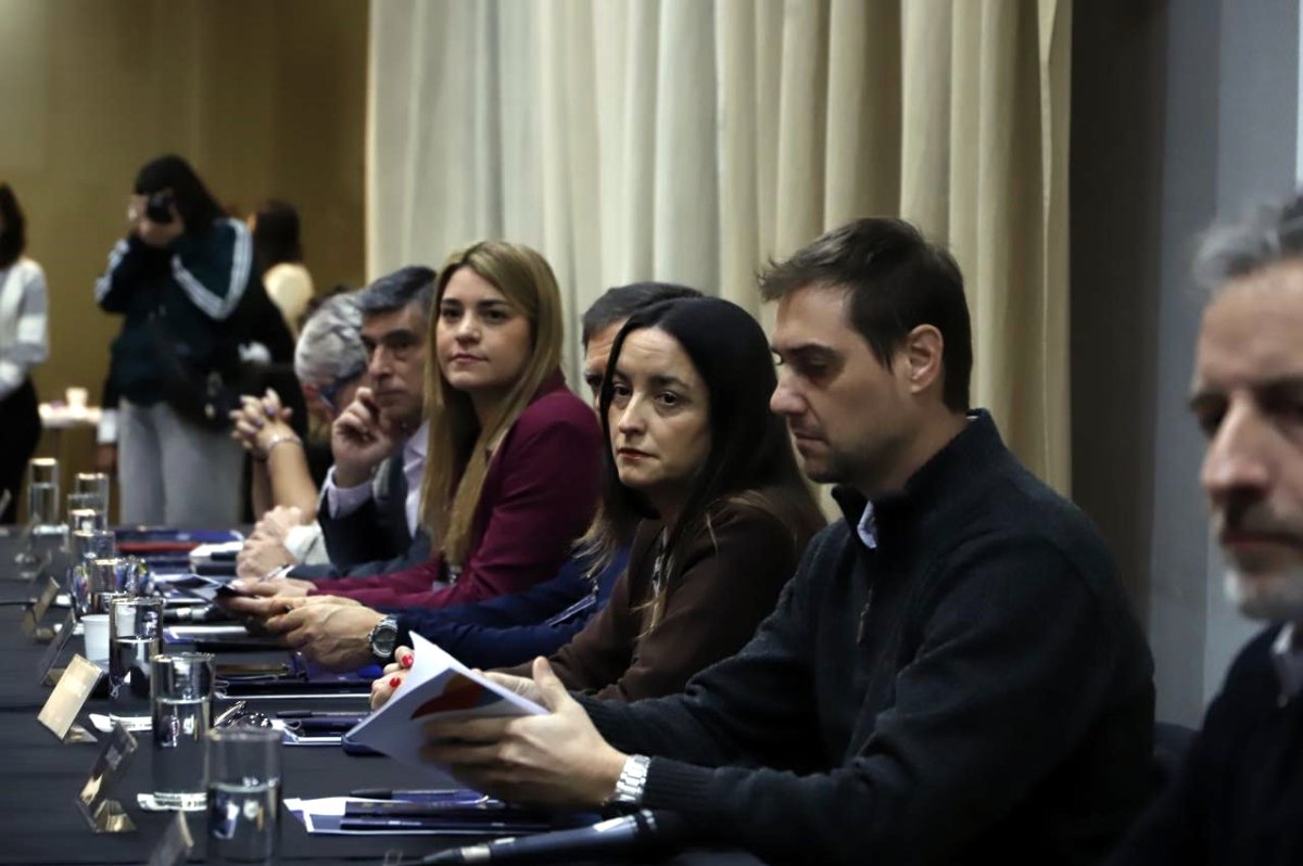 Santa Cruz participó de una nueva reunión del Consejo Federal de Drogas