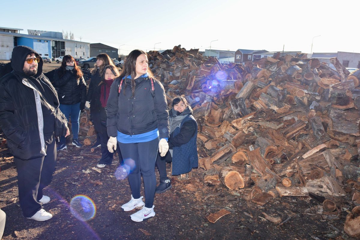 Desarrollo Social inició la distribución de leña en Río Gallegos