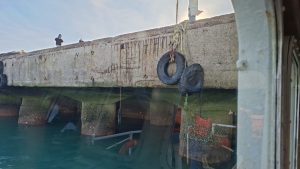 Puerto Deseado: Se realizó la visita de obra con las empresas interesadas en la licitación del muelle 