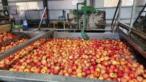 Impulso a la Producción Agrícola y Pecuaria de la Patagonia