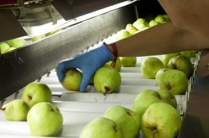 Impulso a la Producción Agrícola y Pecuaria de la Patagonia