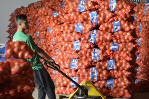 Impulso a la Producción Agrícola y Pecuaria de la Patagonia