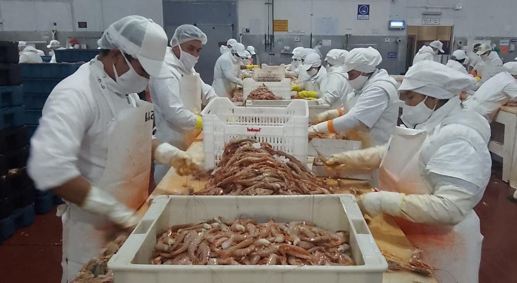 Impulso a la Producción Agrícola y Pecuaria de la Patagonia