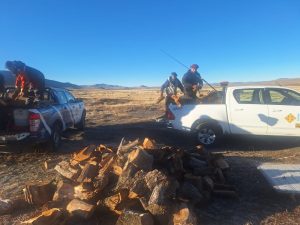 Vialidad Provincial trasladó leña a establecimientos rurales de Gobernador Gregores