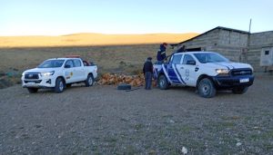 Vialidad Provincial trasladó leña a establecimientos rurales de Gobernador Gregores
