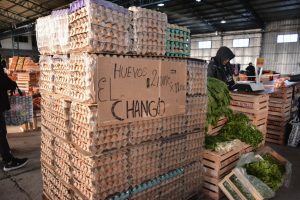 Los vecinos coparon el Mercado Concentrador Patagónico y celebraron los precios minoristas