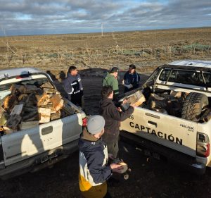 Más familias de Puerto Deseado recibieron leña para afrontar el invierno con el acompañamiento del Estado