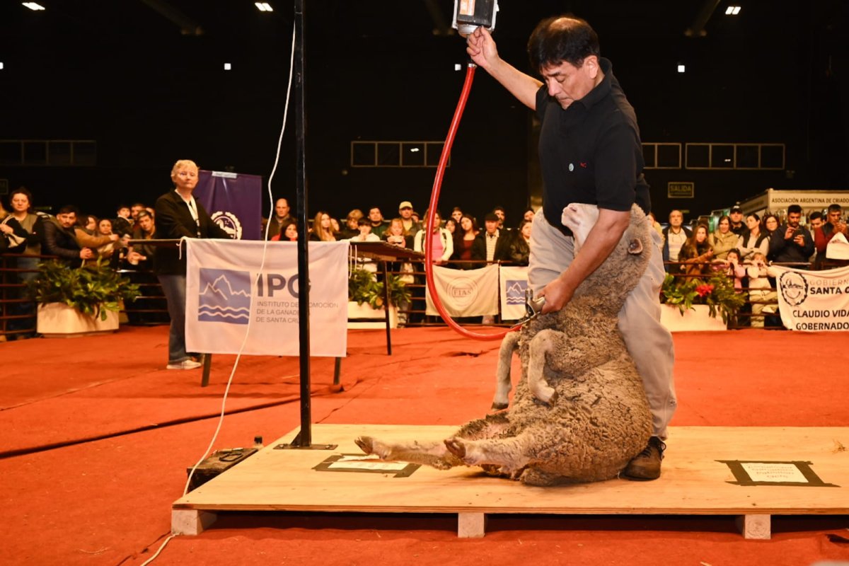 La esquila santacruceña fue protagonista en la Expo Rural de Palermo