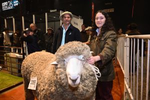 Santa Cruz campeón en Palermo: la genética ovina alcanzó el máximo reconocimiento 