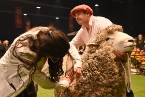 Santa Cruz campeón en Palermo: la genética ovina alcanzó el máximo reconocimiento 