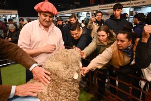Santa Cruz campeón en Palermo: la genética ovina alcanzó el máximo reconocimiento 