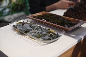 La innovación azul de Santa Cruz despertó interés en la Expo Rural de Palermo