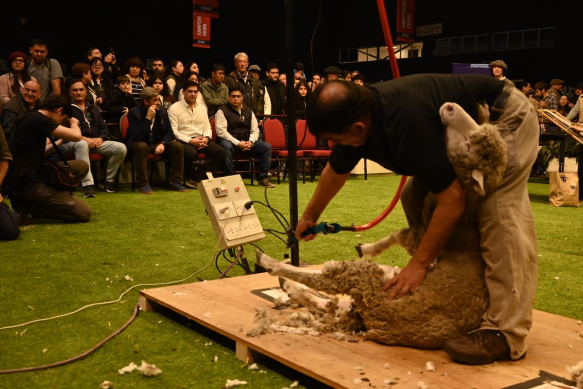 Santa Cruz mostr&oacute; todo su potencial con una jornada dedicada a la producci&oacute;n, el turismo, la gastronom&iacute;a y la cultura