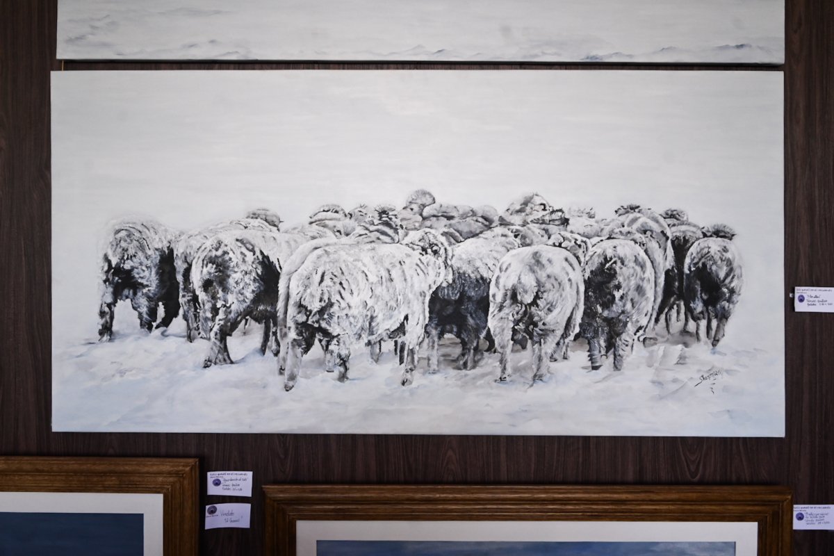Con arte e identidad patagónica, Sharon Bárcena emocionó al público en la Expo Rural de Palermo