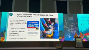 De la Ría Deseado a Sri Lanka: una investigación patagónica llegó al mayor encuentro mundial de tiburones