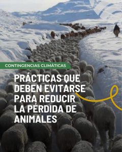 El Consejo Agrario recuerda las prácticas que se deben evitar para reducir la pérdida de animales