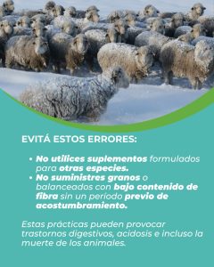 El Consejo Agrario recuerda las prácticas que se deben evitar para reducir la pérdida de animales