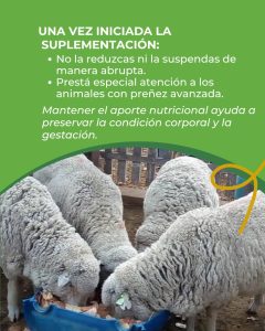 El Consejo Agrario recuerda las prácticas que se deben evitar para reducir la pérdida de animales