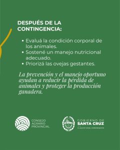 El Consejo Agrario recuerda las prácticas que se deben evitar para reducir la pérdida de animales