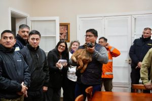 Santa Cruz fortalece su sistema de respuesta ante emergencias con la incorporación de nuevos canes especializados